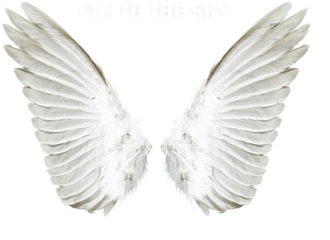 Angel wings transparent - How can my glasses change from transparent, when I'm inside, to dark when I go outdoors? Advertisement Sunglasses or prescription eyeglasses that darken when exposed to the sun wer...